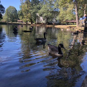Rolater Park - Parks Near Me - Cave Spring, Georgia