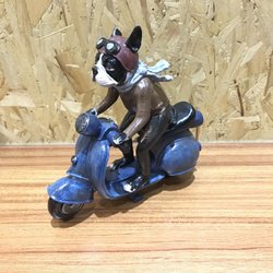 Zoom Scooter - Cool cat on scooter