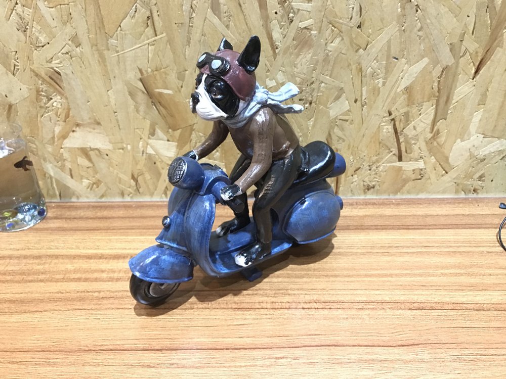 ZOOM SCOOTER 13 Reviews 6318 Flushing Ave, Maspeth, NY Yelp