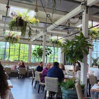 Terrain Cafe - people sitting at tables with plants hanging from the ceiling - Breakfast & Brunch Near Me - Doylestown, Pennsylvania Terrain Cafe - people sitting at tables with plants hanging from the ceiling - Breakfast & Brunch Near Me - Doylestown, Pennsylvania