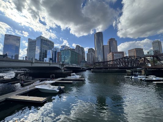 The Barking Crab by null