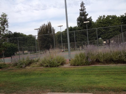 Roosevelt Park by null