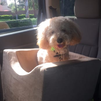 Jan's Gentle Paws - Pet Groomers Near Me - Irvine, California Jan's Gentle Paws - Pet Groomers Near Me - Irvine, California