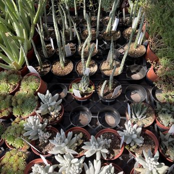 Armstrong Garden Centers - Nurseries & Gardening Near Me - Monrovia, California Armstrong Garden Centers - Nurseries & Gardening Near Me - Monrovia, California