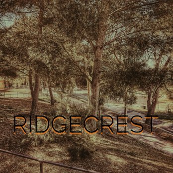 Ridgecrest Intermediate School - Ridgecrest hillside forest. - Elementary Schools Near Me - Rancho Palos Verdes, California Ridgecrest Intermediate School - Ridgecrest hillside forest. - Elementary Schools Near Me - Rancho Palos Verdes, California