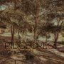 Photo of Ridgecrest Intermediate School