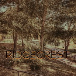 Ridgecrest Intermediate School - Ridgecrest hillside forest.