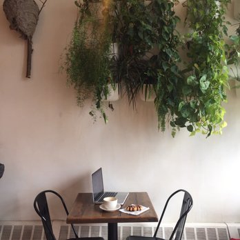 Curio Coffee - Chai latte ($4.25) and liege waffle ($3.50) - Coffee & Tea Near Me - Cambridge, Massachusetts