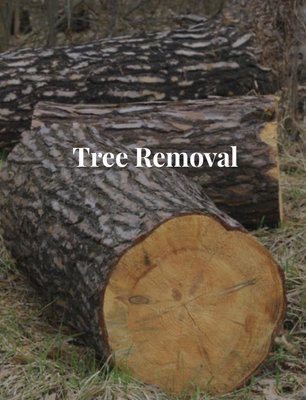 Tree Removal - The tree removal process is stressful. One wrong move can lead to a tree damaging your home or vehicle. If you want to remove a tree without any worries, hire Hattery's Tree Service. We have over 30 years of experience providing tree removal services in the Rochester, Plymouth & Warsaw, IN area.

We work with trees of all sizes. We can also remove trees that have already fallen.

If you can recognize the signs that a tree is dying, you can prevent tree-related emergencies on your property. You should bring in our hazardous tree removal experts if...

Fungi are growing around the base of your tree
Your tree develops a new, significant lean
Your tree has insect damage

We're available 24/7 for hazardous tree removal services, so don't hesitate to call us whenever you're dealing with a tree emergency. Arrange for tree removal services now.