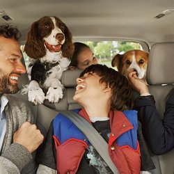 Houston Flyers Town Car Services - Family trip? Airport drop-off/pickup? Cruise transfer? Let us do the heavy lifting for you!
