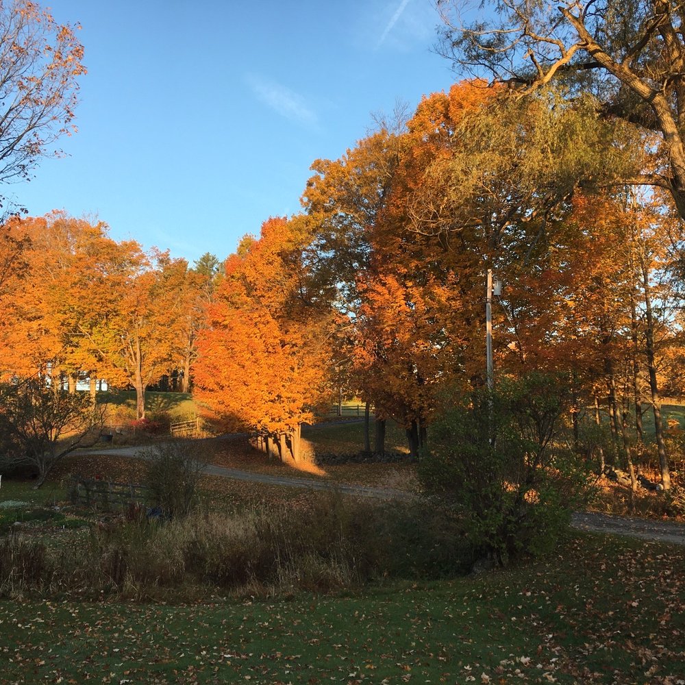 Inn At Valley Farms - Hotels Near Me - Walpole, New Hampshire Inn At Valley Farms - Hotels Near Me - Walpole, New Hampshire