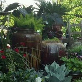 Roots Landscaping - Unique Plant and Pottery Selection - Landscaping Near Me - Selbyville, Delaware Roots Landscaping - Unique Plant and Pottery Selection - Landscaping Near Me - Selbyville, Delaware