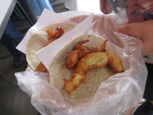 Tacos Mi Ranchito El Fenix by null