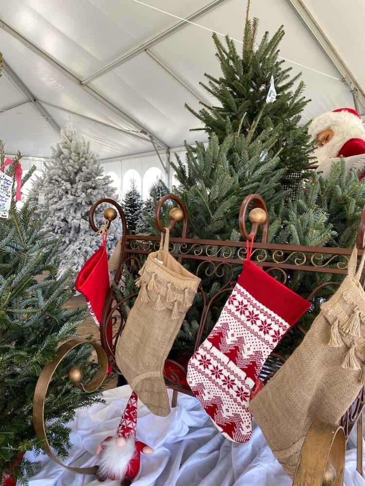 JIM’S TREES Updated June 2024 Request a Quote 2123 Florida st