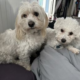 Coco and her friend. Coco and her friend.