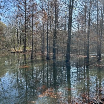 Bernheim Forest and Arboretum - Water is high - Parks Near Me - Clermont, Kentucky