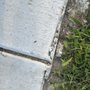 Photo of Bryant Concrete