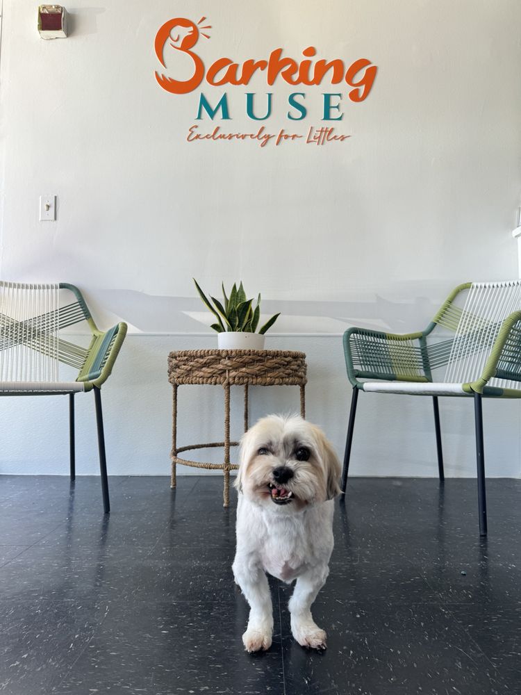 BARKING MUSE Updated July 2024 25 Photos 4645 Hwy 6, Sugar Land