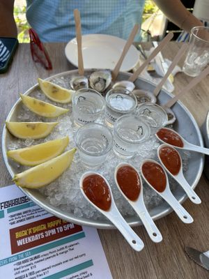 Fluke Newport by null