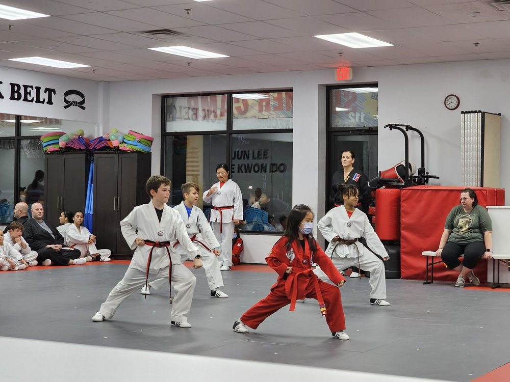 JUN LEE Taekwondo Logo