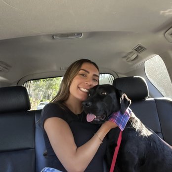Sit Means Sit Dog - Pet Training Near Me - San Juan Capistrano, California Sit Means Sit Dog - Pet Training Near Me - San Juan Capistrano, California