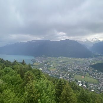 Harder Kulm - View - Hiking Near Me