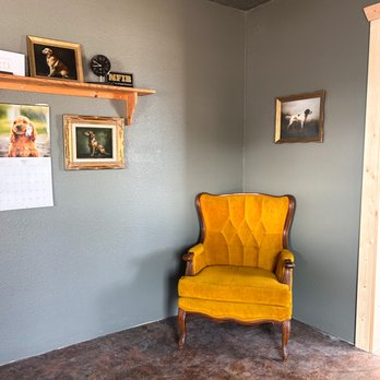 Classy Cuts - Pet Groomers Near Me - Arcadia, Florida Classy Cuts - Pet Groomers Near Me - Arcadia, Florida