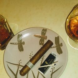Anthony's Cigar Emporium - "Cloudhopper" enjoyed with an aged German brandy for Independence Day - fantastic!