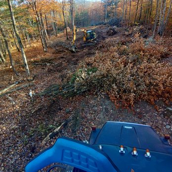 Woodstock Tree Services - Tree Services Near Me - Bryant Pond, Maine Woodstock Tree Services - Tree Services Near Me - Bryant Pond, Maine
