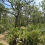 Photo of Malabar Disc Golf Park