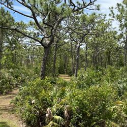 Malabar Disc Golf Park
