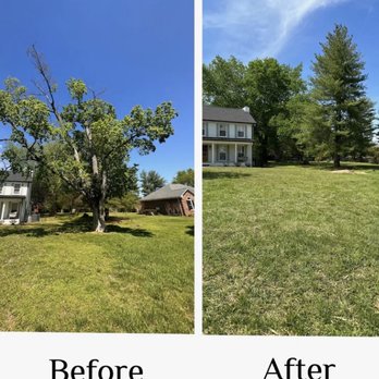 Rodrik Landscaping - Tree Services Near Me - Gallatin, Tennessee