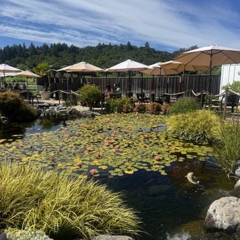 Salt & Stone - The koi pond with Lilly pads - Wine Bars Near Me - Kenwood, California Salt & Stone - The koi pond with Lilly pads - Wine Bars Near Me - Kenwood, California