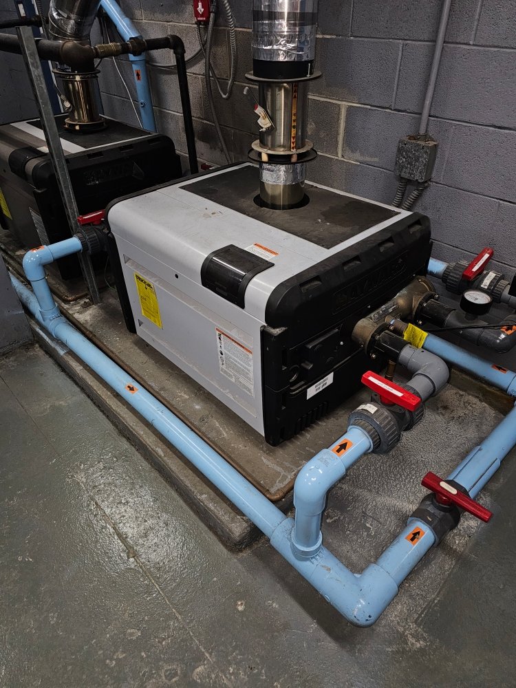 Slide of Billharz Plumbing