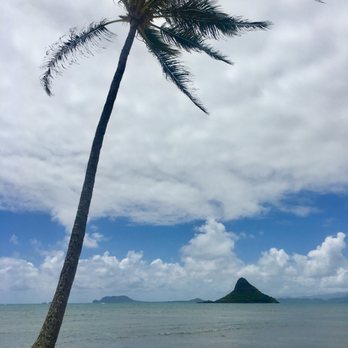 Hawaii Turtle Tours - Tours Near Me - Honolulu, Hawaii