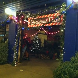 Christmas Trees Chicago