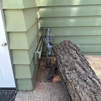Its Tree Time - Had to drop a tree 4 inches from a gas meter. - Tree Services Near Me - Lake Arrowhead, California