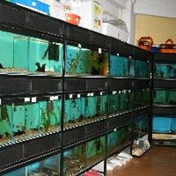 Urban Jungle - From website - Pet Stores Near Me - Manchester, XGM Urban Jungle - From website - Pet Stores Near Me - Manchester, XGM
