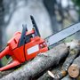 Photo of Rancho Tree Services