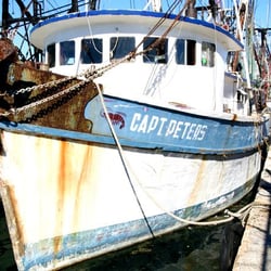 Key West Shellfish Co - The Cap't Peters is one of the many, old classic shrimp trawlers docked outside our fish house.