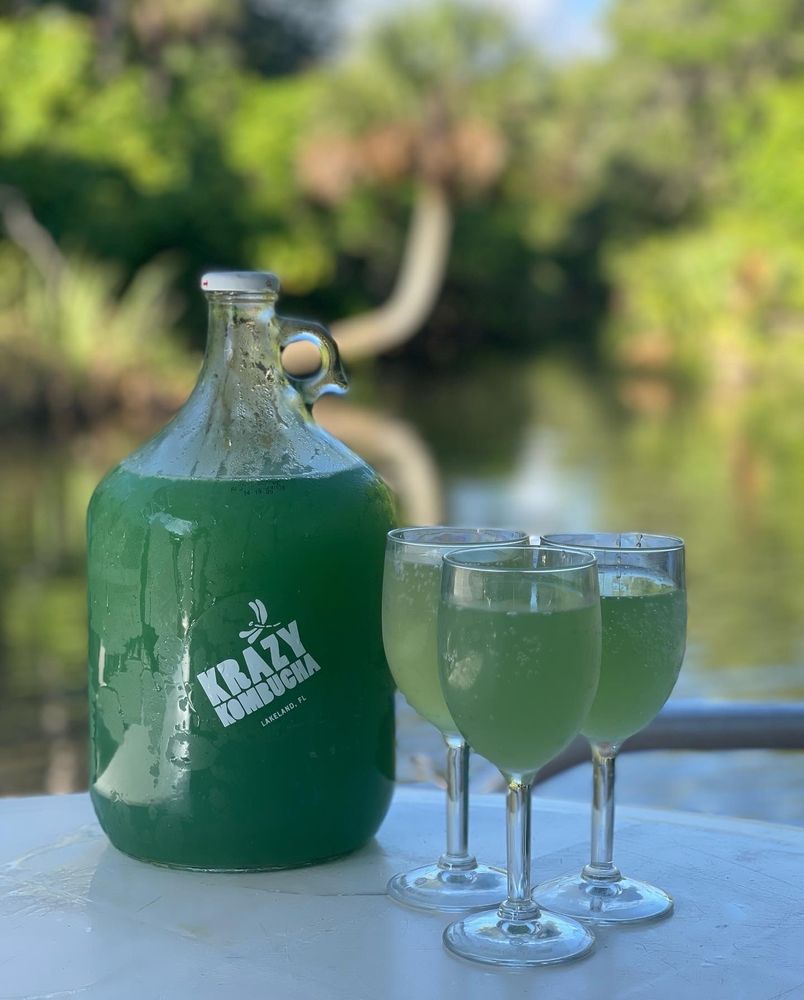 Krazy Kombucha Logo