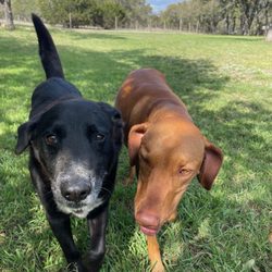 Sunny Oaks Pet Resort