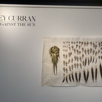 Heron Arts - Weekday current exhibit Casey Curran 6/15-7/30/2024 - Art Galleries Near Me - San Francisco, California