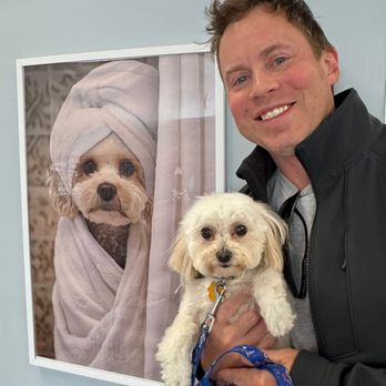 All 4 Dogs Grooming - Pet Groomers Near Me - Northbrook, Illinois All 4 Dogs Grooming - Pet Groomers Near Me - Northbrook, Illinois