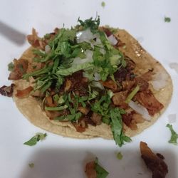 Tres Coyotes - Taco de tripa chico