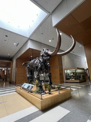 North Dakota Heritage Center & State Museum by null