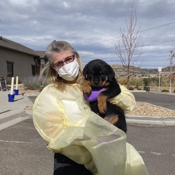 Brooklyn Veterinary Clinic - Mila's first meeting with Dr. Deb. - Veterinarians Near Me - Castle Rock, Colorado Brooklyn Veterinary Clinic - Mila's first meeting with Dr. Deb. - Veterinarians Near Me - Castle Rock, Colorado