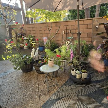 Schumacher Masonry - New wall in backyard completed. - Masonry/Concrete Near Me Schumacher Masonry - New wall in backyard completed. - Masonry/Concrete Near Me
