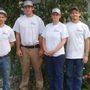 Photo of Swiftee Movers