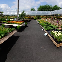 Kiwi Nurseries - Kiwi Nurseries, Bradley Lane, Stretford.
